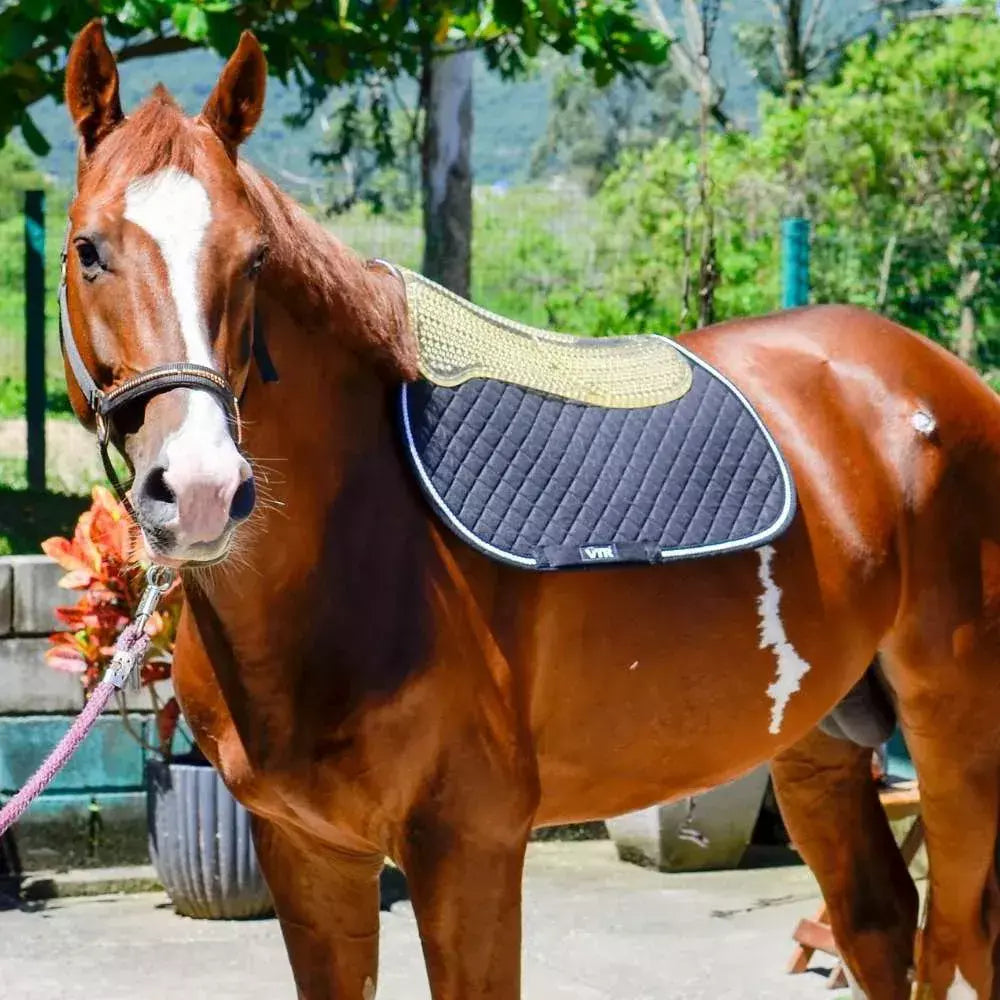 Riser Pad Gel VTR para Hipismo